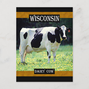 Wisconsin Dairy Cow Vykort