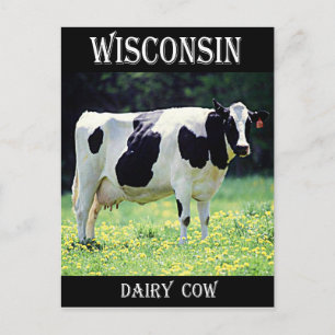 Wisconsin Dairy Cow Vykort