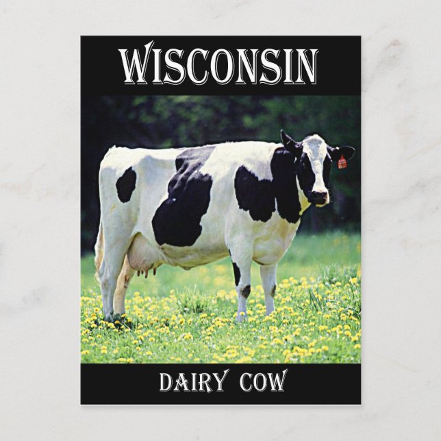 Wisconsin Dairy Cow Vykort (Framsida)