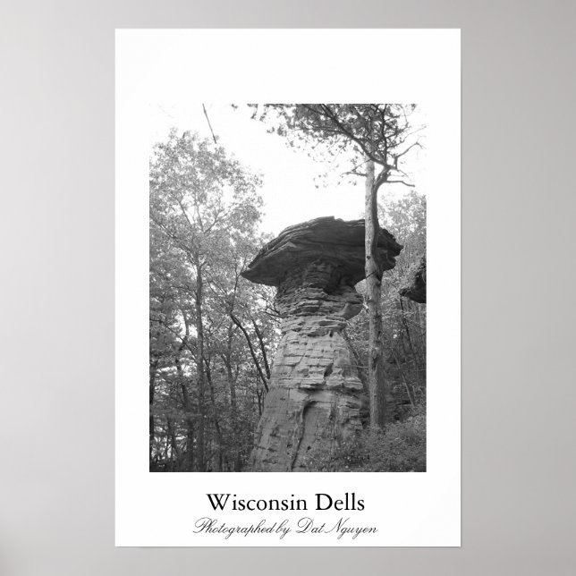 Wisconsin Dell Poster (Framsidan)