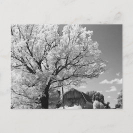 Wisconsin Farm Postcard Vykort