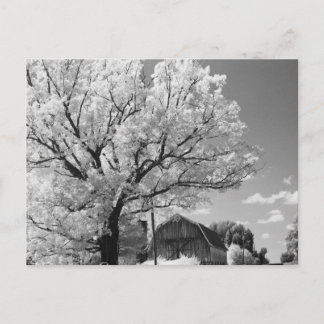 Wisconsin Farm Postcard Vykort