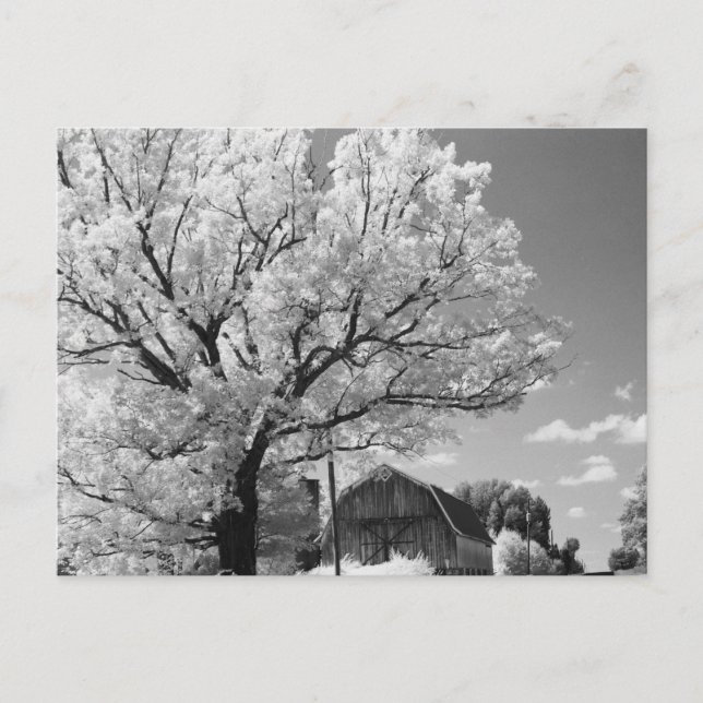 Wisconsin Farm Postcard Vykort (Framsida)