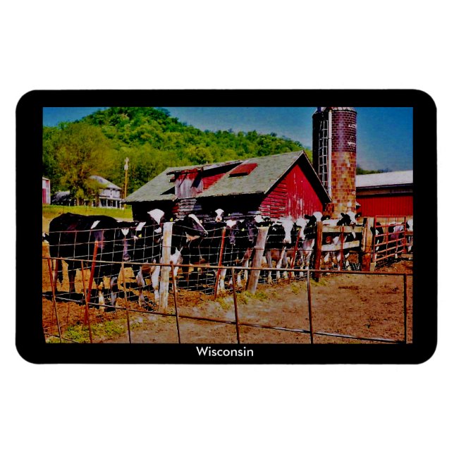 Wisconsin Kor Magnet (Horisontell)