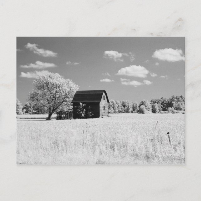Wisconsin ladugårdsfoto återtryck vykort (Framsida)