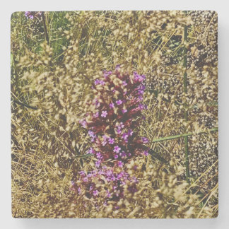 Wisconsin Lila Wildblomma , avslutande inlägg Stenunderlägg