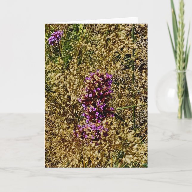 Wisconsin Lila Wildblomma, hösten 2021 Kort (Framsida)