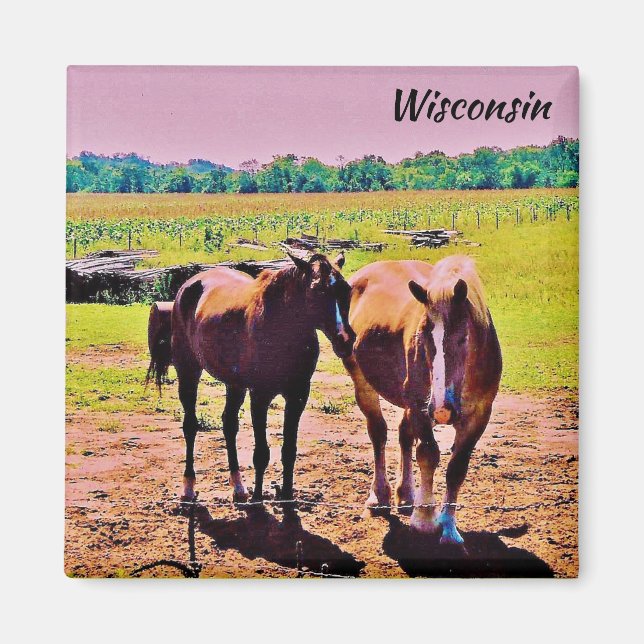 Wisconsin Magnet (Framsidan)