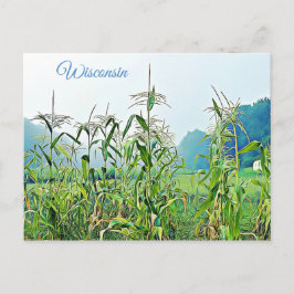 Wisconsin Maj Stalks Midwest Photo Postcard Vykort