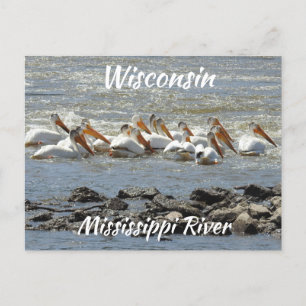 Wisconsin, Mississippi River Memorabilia Vykort