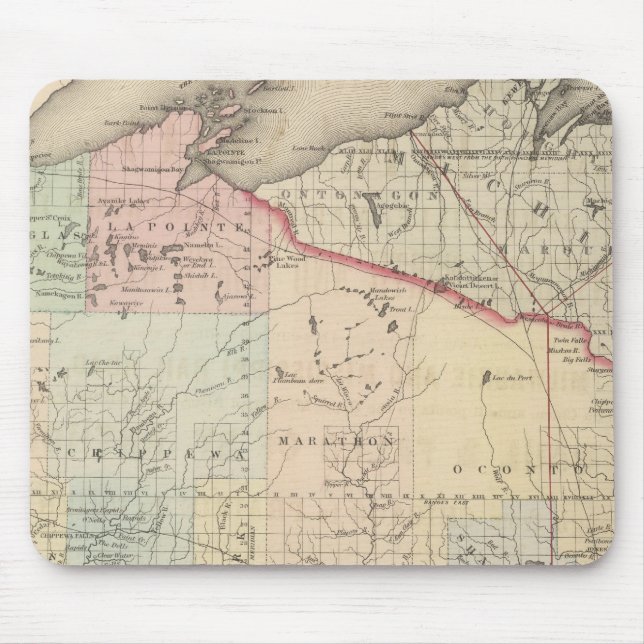 Wisconsin Musmatta (Framsidan)