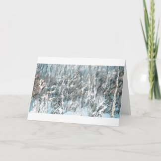 Wisconsin Northwoods träd Helgkort