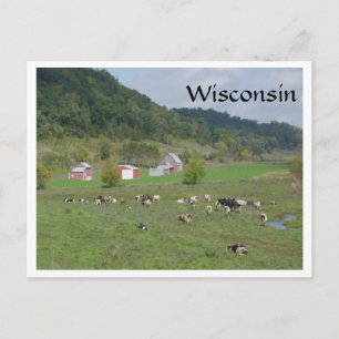 Wisconsin Pasture Vykort