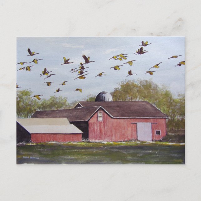 Wisconsin Sand Cranes-vykort Vykort (Framsida)