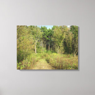 Wisconsin Skogar och Stig Natur Fotoväggkonst Canvastryck