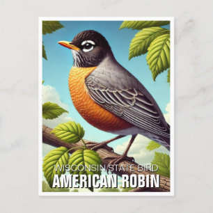 Wisconsin State Bird American Robin Vykort