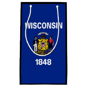 Wisconsin Statlig flagga Design