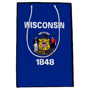 Wisconsin Statlig flagga Design
