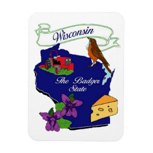 Wisconsin statlig högvärdig magnet 3x4