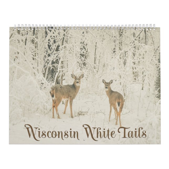 Wisconsin vitsvanar kalender (Omslag)