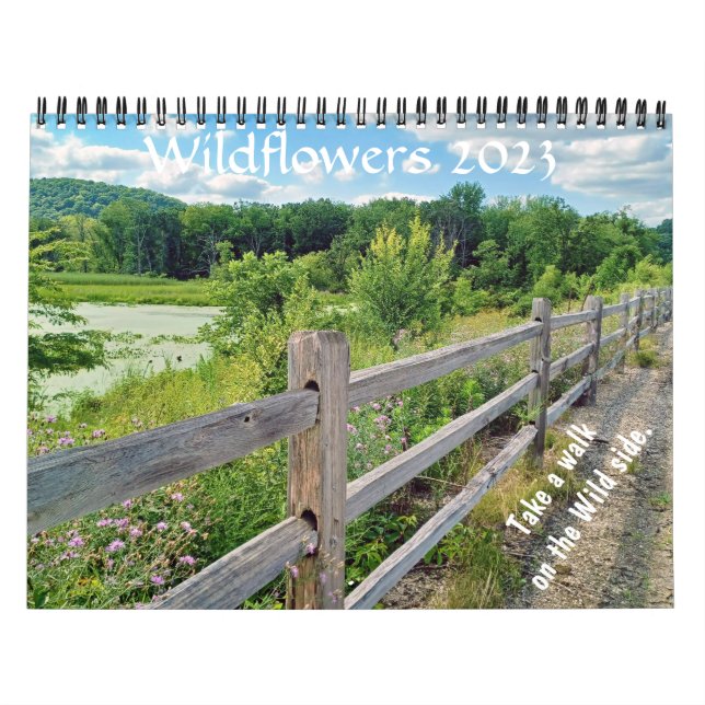 Wisconsin Wildblommor 2023 Kalender (Omslag)