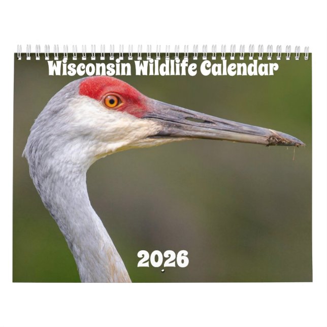 Wisconsin Wildlife-kalender 2026 Kalender (Omslag)