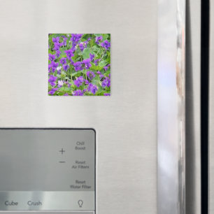 Wisconsin Wood Violets - Anpassad Magnet