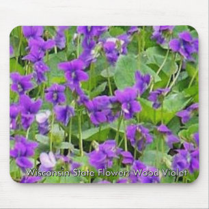 Wisconsin Wood Violets Musmatta
