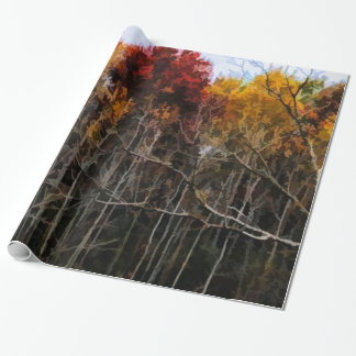Wisconsin Woods In Fall Presentpapper