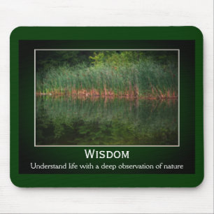 Wisdom Cattails inspiration Musmatta