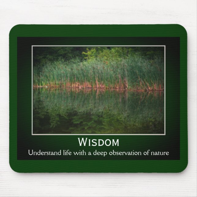 Wisdom Cattails inspiration Musmatta (Framsidan)
