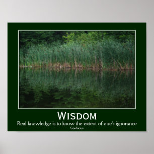 Wisdom Confucius Quote Cattails Inspirational Poster