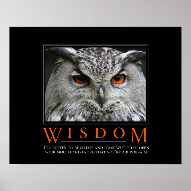 Wisdom Demotivational Poster (Framsidan)