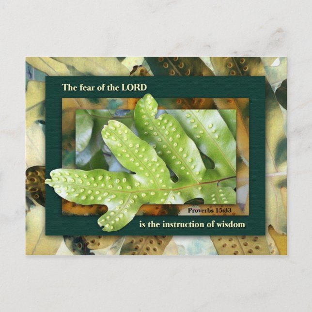 Wisdom från Herren Vykort (Framsida)