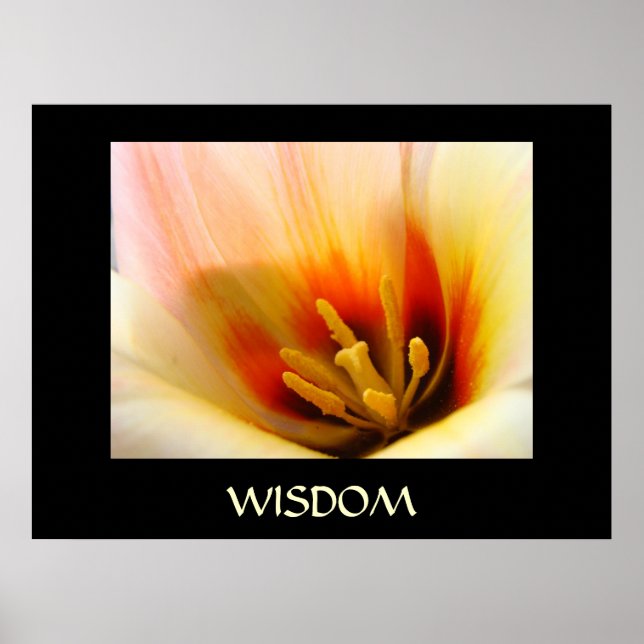 WISDOM KONSTTRYCK Tulpan Blommor Vårträdgård Poster (Framsidan)