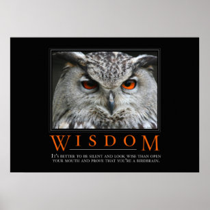 Wisdom Motivational Parody Poster