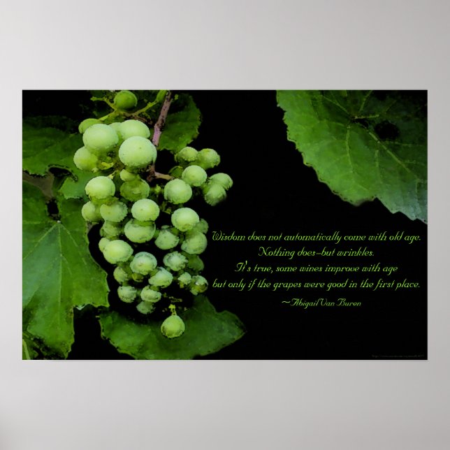 Wisdom-offert Poster (Framsidan)