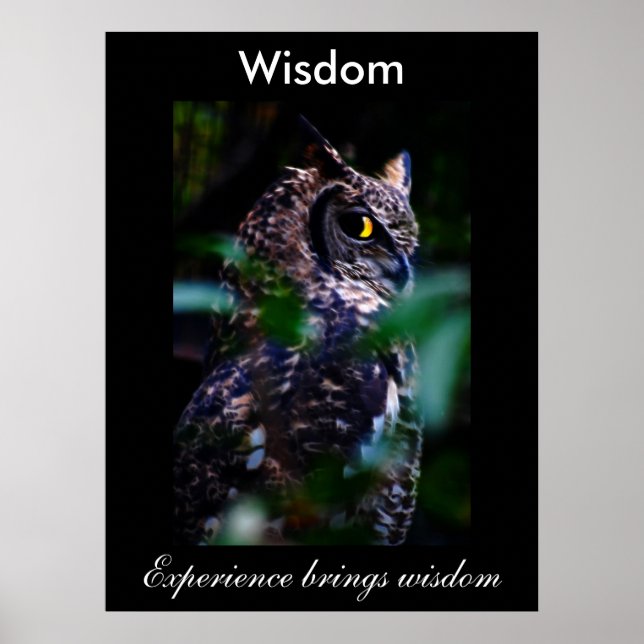 Wisdom Poster (Framsidan)