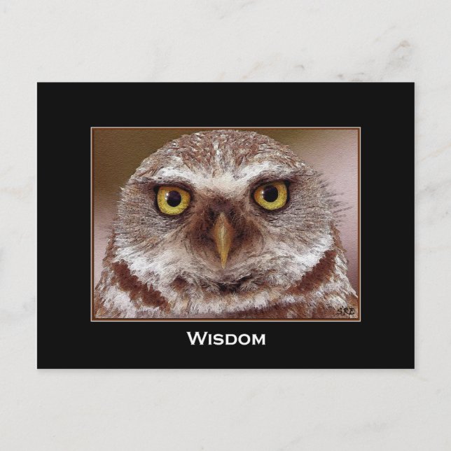 WISDOM UGGLA VYKORT (Framsida)