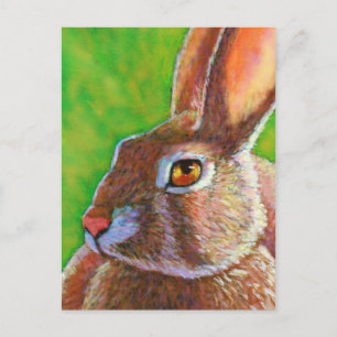 Wise Bunny Vykort