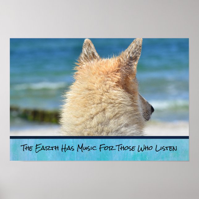 Wise inspirationsoffert med tysk Shepherd-Valp Poster (Framsidan)