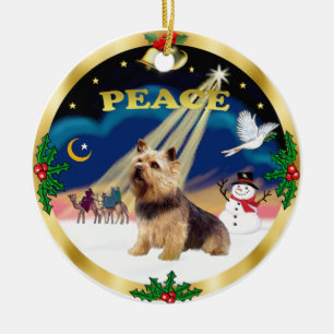 Wise Manar - Norwich Terrier Julgransprydnad Keramik