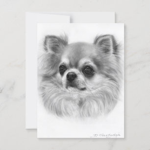 Wise Ögon Hand Painting Chihuahua Porträtt Vykort