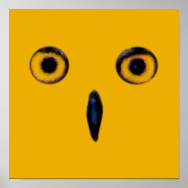 Wise Old Owl Eyes Poster (Framsidan)