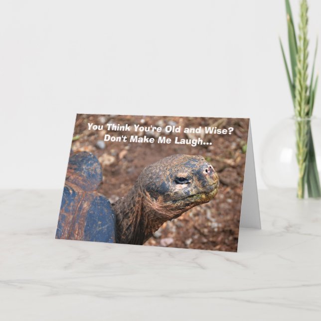 Wise Old Tortoise Grattis på födelsedagen Humor Kort (Framsida)