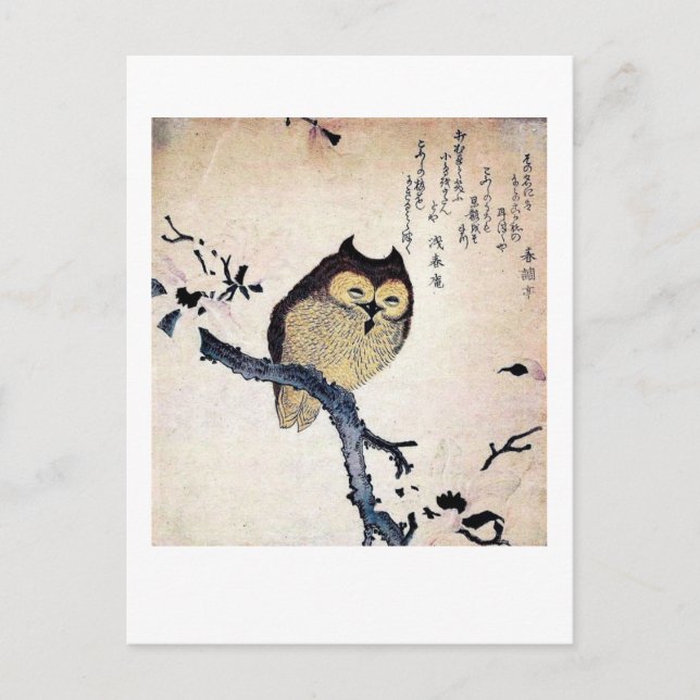 Wise Old Uggla Vykort (Framsida)