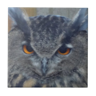 Wise One Kakelplatta