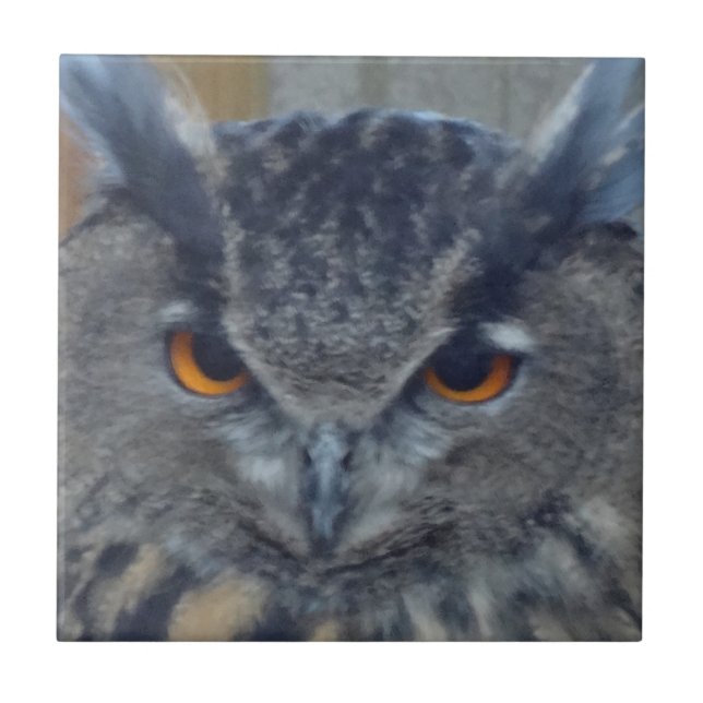 Wise One Kakelplatta (Framsidan)