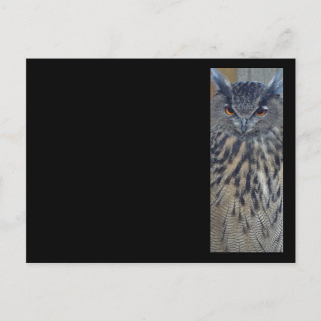 Wise One Vykort (Framsida)