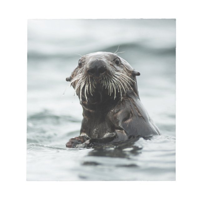 Wise Otter Anteckningsblock (Framsida)